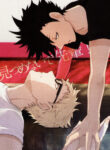 Cover 24914