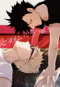 Cover 24914