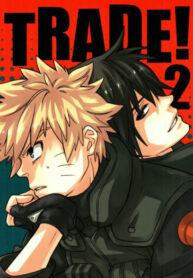 Cover 24916