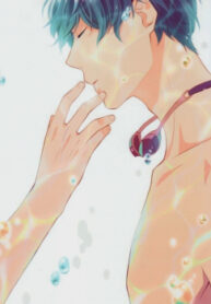 Cover 24944