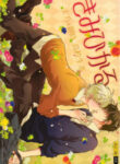 Cover 24998