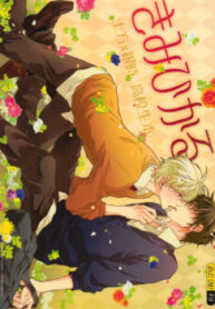Cover 24998