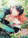 Cover 25004