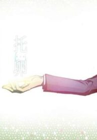 Cover 25008