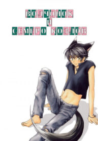 Cover 25030