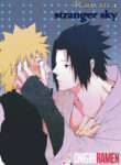 Cover 25096