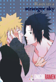 Cover 25096