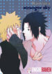 Cover 25096