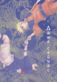 Cover 25116
