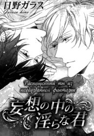 Cover 25144