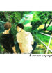 Cover 25146