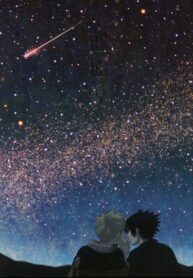 Cover 25160