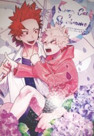 Cover 25184