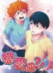 Cover 25206