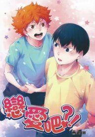 Cover 25206