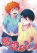 Cover 25206