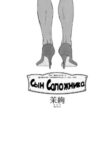 Cover 25208