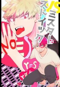 Cover 25210