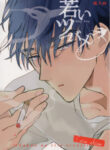 Cover 25230