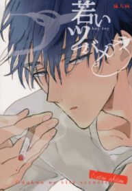 Cover 25230