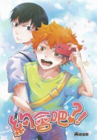 Cover 25250