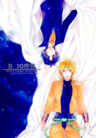 Cover 25266