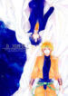 Cover 25266