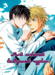 Cover 25268