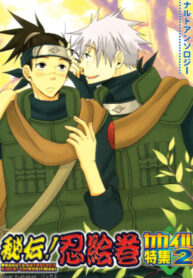 Cover 25296