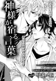 Cover 25300