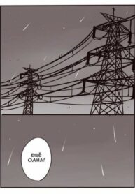 Cover 25310