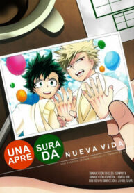 Cover 25330