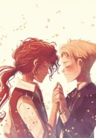 Cover 25375