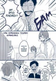 Cover 25379