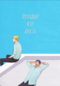 Cover 25381