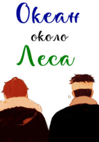 Cover 25387