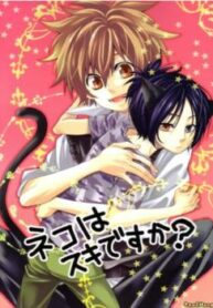 Cover 25393