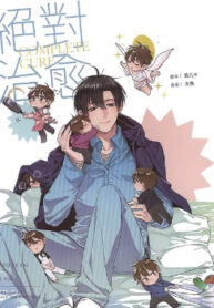 Cover 25413
