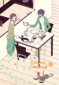 Cover 25417