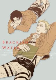 Cover 25433