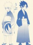 Cover 25443