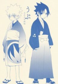 Cover 25443