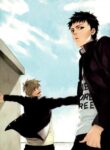 Cover 25463