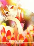 Cover 25493