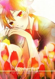 Cover 25493