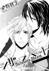 Cover 25495