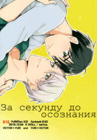 Cover 25527
