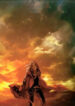 Cover 25533