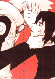 Cover 25539