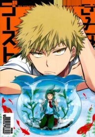 Cover 25565